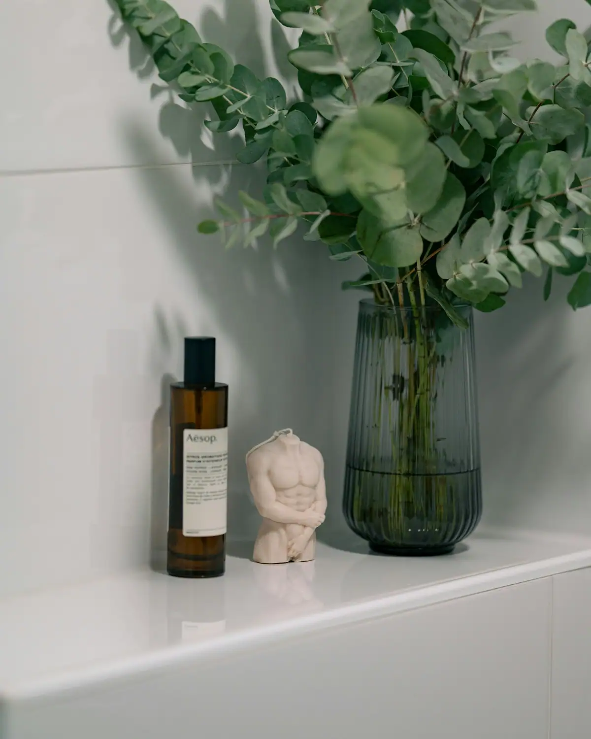 Eucalyptus in a glass vase and a care bottle